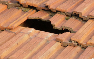 roof repair Gallowfauld, Angus