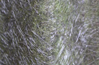 Gallowfauld fibreglass roof work